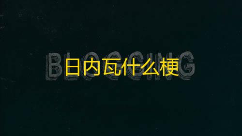 免费云服务器推荐日内瓦什么梗